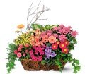 Deluxe European Garden Basket in Chicago Ridge IL James Saunoris & Sons
