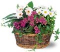 Traditional European Garden Basket in Chicago Ridge IL James Saunoris & Sons