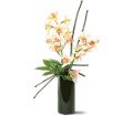 Artful Orchids in Chicago Ridge IL James Saunoris & Sons