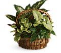 Emerald Garden Basket in Chicago Ridge IL James Saunoris & Sons