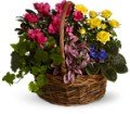 Blooming Garden Basket in Chicago Ridge IL James Saunoris & Sons