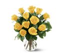 12 Yellow Roses in Chicago Ridge IL James Saunoris & Sons