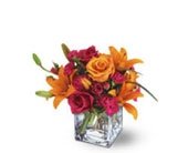 Teleflora's Uniquely Chic Bouquet in Chicago Ridge IL, James Saunoris & Sons