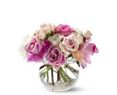 Roses on the Rocks, picture