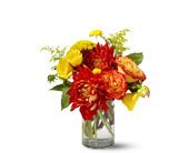 Dazzling Dahlias, picture