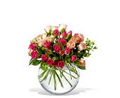 Crimson and Coral Roses, picture