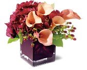 Teleflora's Calla Classique in Chicago Ridge�IL, James Saunoris & Sons