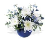 Winter's Sky, picture