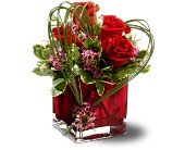 Teleflora's Sweet Thoughts in Chicago Ridge IL, James Saunoris & Sons