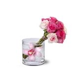 Beauty Bunch, picture