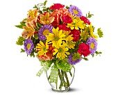 Make a Wish in Chicago Ridge IL, James Saunoris & Sons