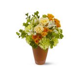 Garden of Avon, picture