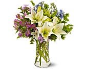 Heavenly Hamptons in Chicago Ridge IL, James Saunoris & Sons