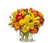 Summer Samba, picture