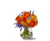 Paint the Town, picture