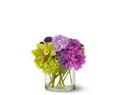 Watercolor Beauty, picture