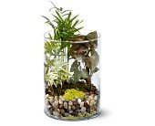 Garden in Glass in Chicago Ridge�IL, James Saunoris & Sons