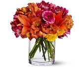 Watercolor Wonder in Chicago Ridge�IL, James Saunoris & Sons