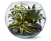 Sphere of Tranquility in Chicago Ridge�IL, James Saunoris & Sons