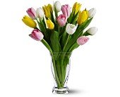 15 Mixed Tulips in Chicago Ridge IL, James Saunoris & Sons