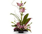 Imagination Blooms in Chicago Ridge�IL, James Saunoris & Sons