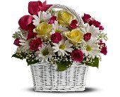 Daisy Dreams Basket in Chicago Ridge�IL, James Saunoris & Sons