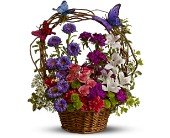 Dancing Butterflies in Chicago Ridge�IL, James Saunoris & Sons