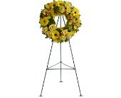 Circle of Sunshine in Chicago Ridge IL, James Saunoris & Sons