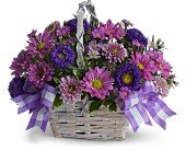 Daisy Day Dreams in Chicago Ridge�IL, James Saunoris & Sons