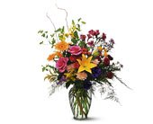 Every Day Counts, picture