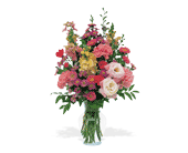 Sunshine and Smiles in Chicago Ridge IL, James Saunoris & Sons