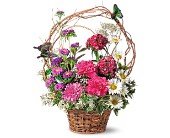 Touch of Butterflies in Chicago Ridge�IL, James Saunoris & Sons