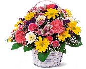 Simple Pleasures in Chicago Ridge�IL, James Saunoris & Sons