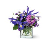 Blues for You, picture