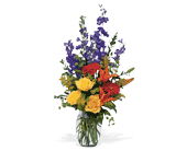 Colorful Sensation, picture