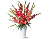 Glorious Gladioli! in Chicago Ridge IL, James Saunoris & Sons