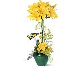 Lily Topiary in Chicago Ridge�IL, James Saunoris & Sons