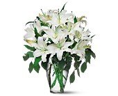 Perfect White Lilies in Chicago Ridge IL, James Saunoris & Sons