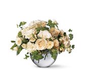 Simply White in Chicago Ridge IL, James Saunoris & Sons