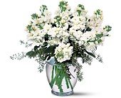 Stylish Stock in Chicago Ridge IL, James Saunoris & Sons