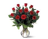 A Dozen Premium Red Roses, picture