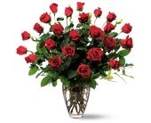 Two Dozen Red Roses, picture