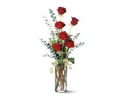 Expression of Love, picture