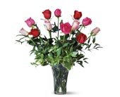 A Dozen Multi-Colored Roses, picture