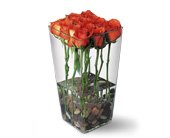Orange Roses with River Rocks, picture