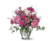 Cheerful Carnations in Chicago Ridge�IL, James Saunoris & Sons