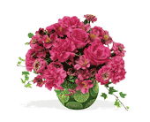 Hot Pink with Limes, picture