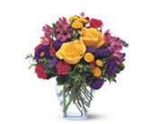 Brighten Your Day in Chicago Ridge IL, James Saunoris & Sons