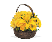 Yellow Flower Basket, picture