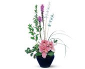 Orchid Cheer, picture